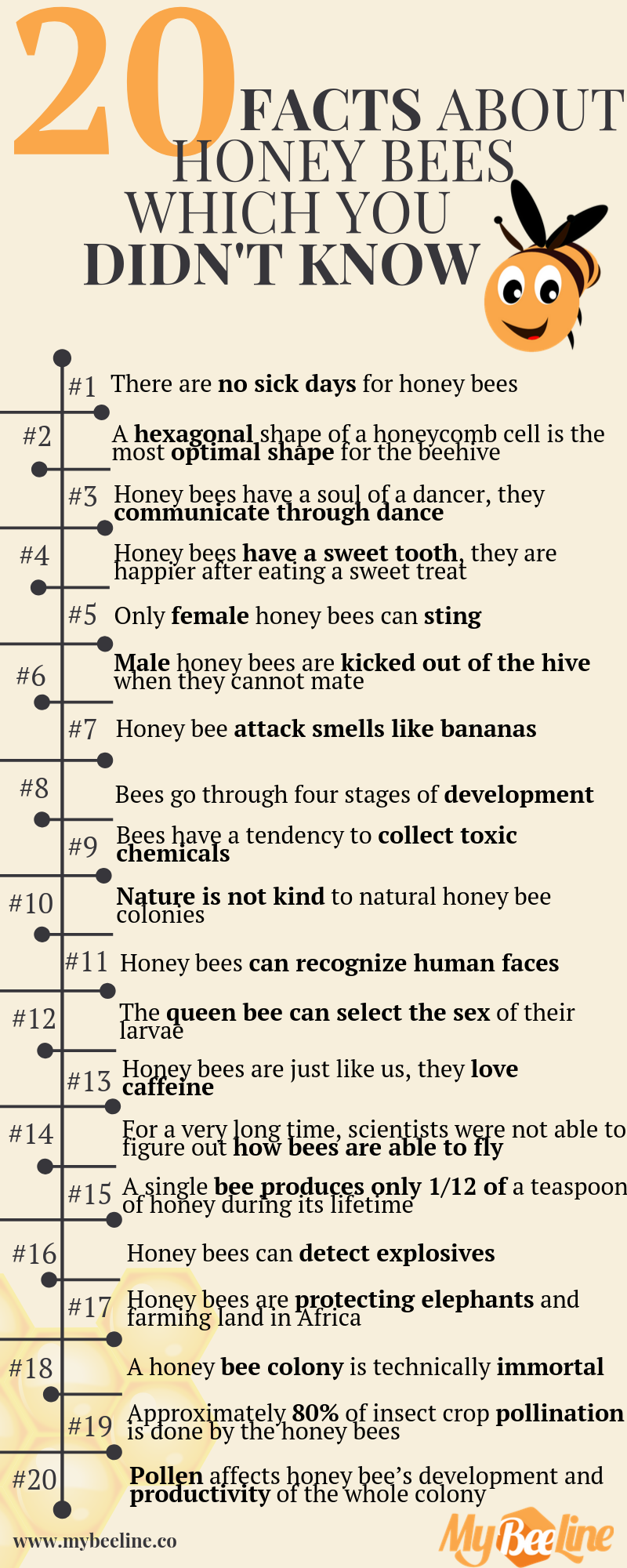 10 Interesting Facts About Honey Bees - WorldAtlas